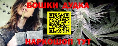 гидра Тара