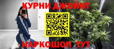 гидра Тара
