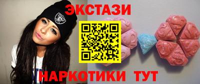 гидра Тара