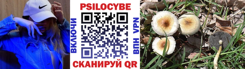 Галлюциногенные грибы прущие грибы  как найти закладки  Сланцы 
