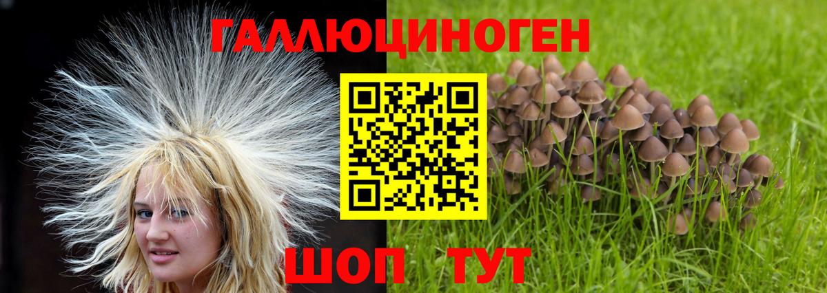 Галлюциногенные грибы мухоморы Сланцы