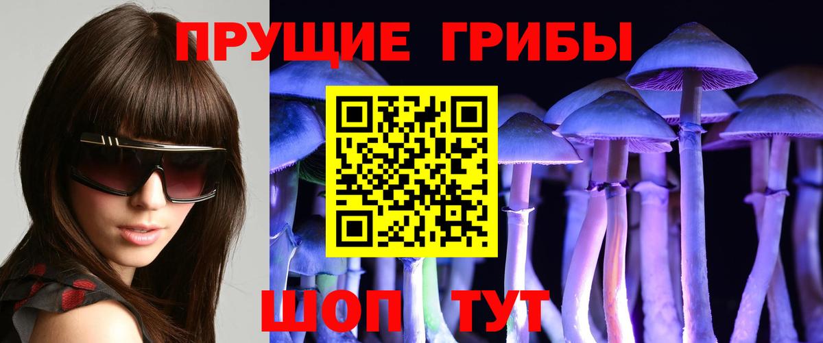Сланцы  Псилоцибиновые грибы Psilocybe  Вход с VPN 