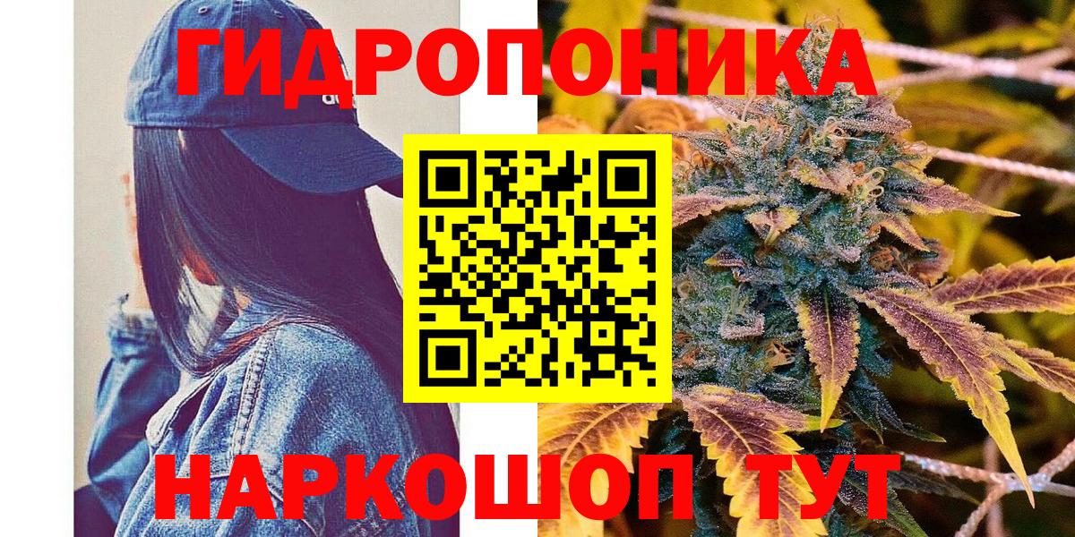 Конопля OG Kush Сланцы